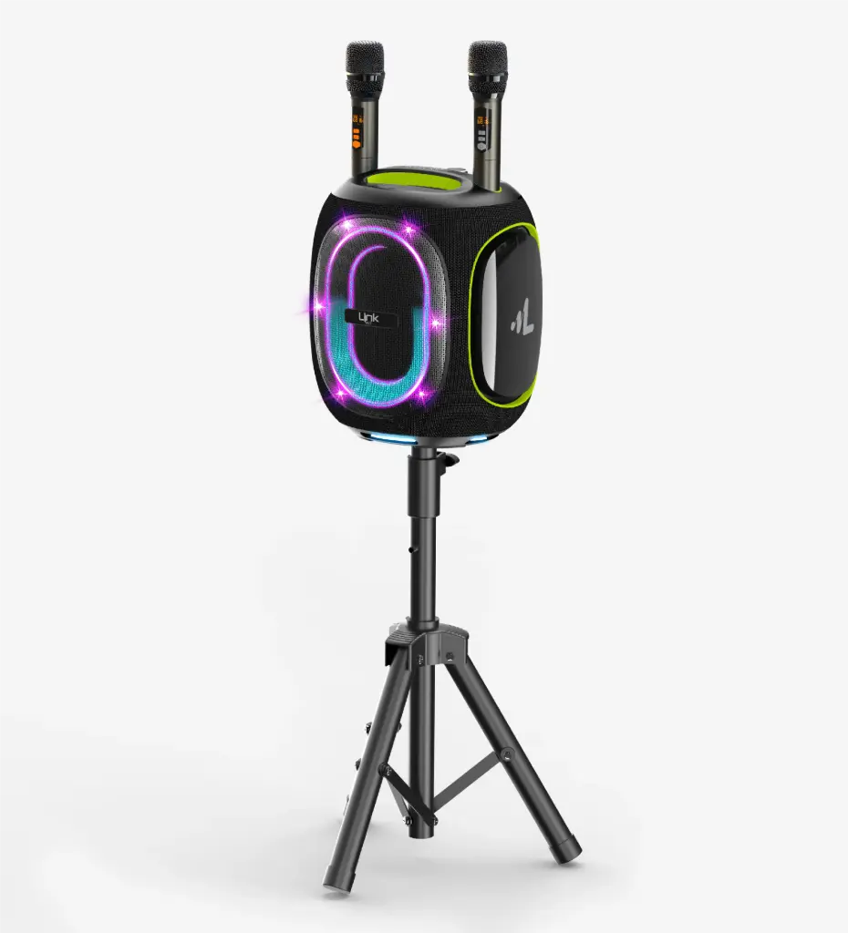 M424 Premium Çift Mikrofonlu 300W Ekstra Bas Bluetooth Hoparlör