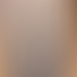 Renk: DESERT TITANIUM